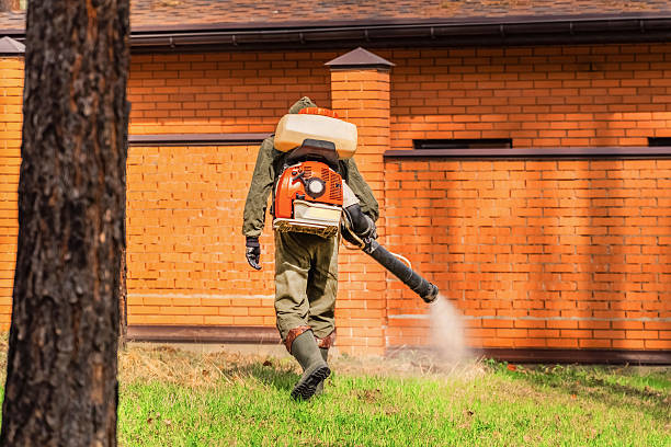 Trusted Mosquito Control service in Cut Bank, MT - Nex Pest Control